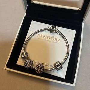 Pandora Bracelet with charms as pictured (AUTHENTIC)